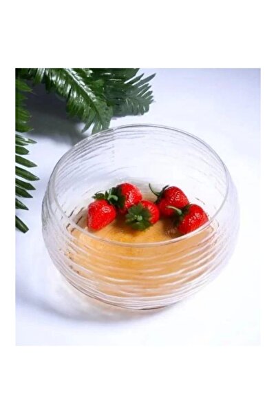 Kosova TRM002 Cam Servis Kase