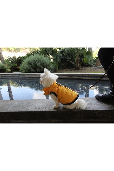 Oli and Lui Yellow Waterproof Dog Coat