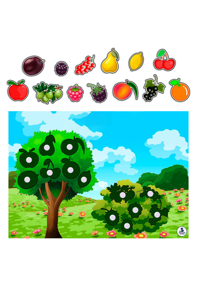 etkinliksetim Çocuklar İçin Meyveleri Öğretici Zeka Geliştirme Kartı Hafıza G...