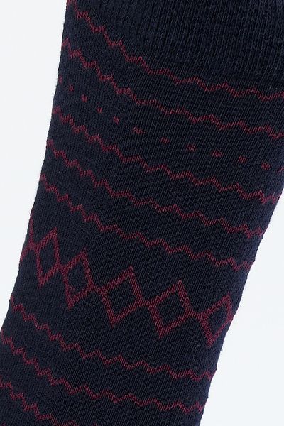 ALTINYILDIZ CLASSICS Men's Navy Blue Patterned Socks
