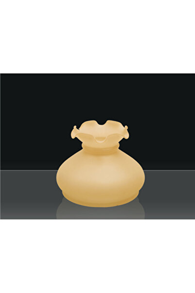 KÜRE CAM Alaaddin Somon Renk Lamba Avize Camı 11'lİK