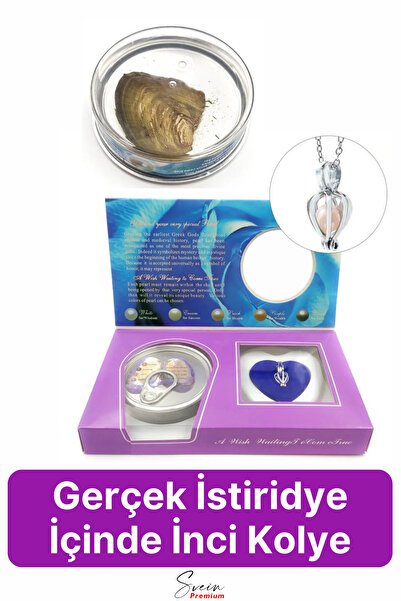 Svein Özel Üretim Kutulu İstiridye İçinde Sevgiliye Anneye Gerçek İnci Kolye Hediye Kadın Aksesuar Seti