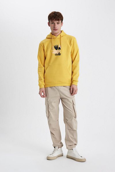 DeFacto Regular Fit Hooded Sweatshirt