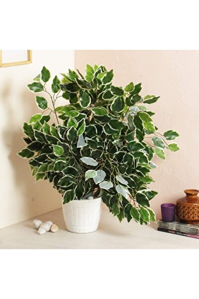 YAPAY ÇİÇEKÇİNİZ Τεχνητό φύλλο Βεντάμινεντ με υγρή εμφάνιση 12 τεμάχια