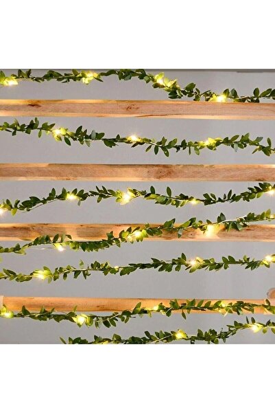 Trend KenT Dekoratif 5 Metre Peri Ledli 5 Metre Telli Taç Sarmaşık, Süsleme Parti Malzemesi