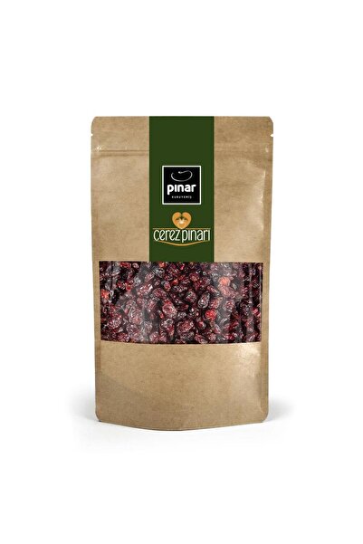 PINAR KURUYEMİŞ Yaban Mersini 500 G