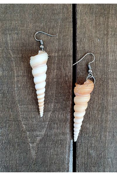 özde dekor SEA MINERAL EARRING (Turritella Communis Model, Real Sea Shell)