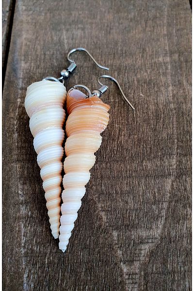 özde dekor SEA MINERAL EARRING (Turritella Communis Model, Real Sea Shell)
