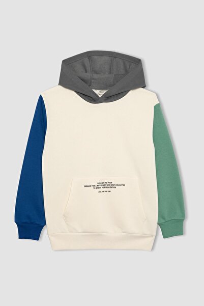 DeFacto Boy's Hooded Pocket Printed Thick Sweatshirt