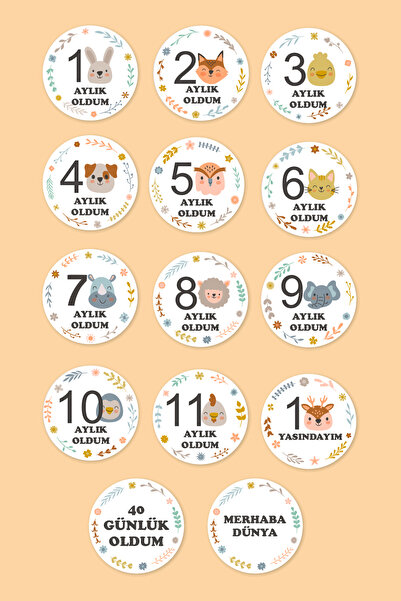 Aldebaran Reklam Monthly Baby Cards Safari Photo Shoot Plate Set Baby Month C...