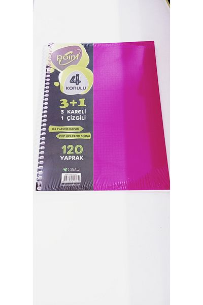 Point POINT 120 de coli - Caiet cu 3+1 compartimente