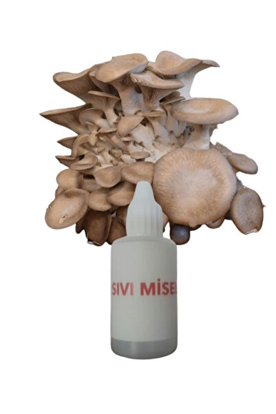 AMAZON TOHUM İstiridye Kavak Mantarı Sıvı Miseli Mantar Miseli Tohumu 30cc