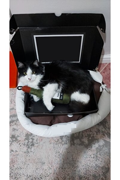 Genel Markalar Bottle Toy, Köpek Oyuncağı, Kedi Oyuncağı, Peluş Oyuncak (Yeşil)