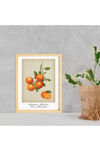 Ayışığı Dizayn Set de pictură murală unică cu mandarine cu fructe de epocă, cu cadru din lemn