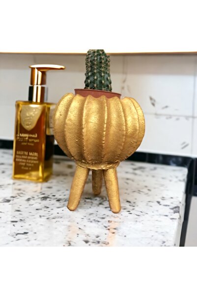 Baldan Tasarım Gold Kaktüs Saksısı