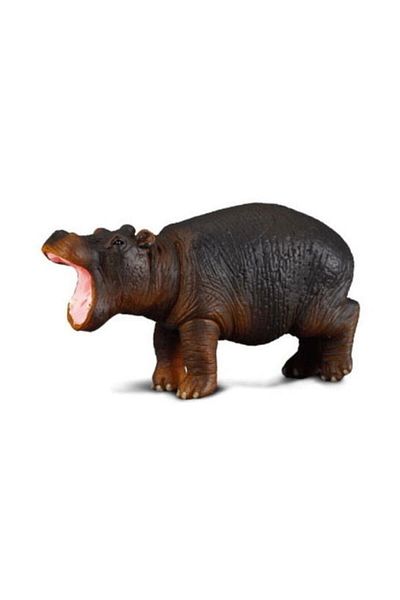 Collecta Baby Hippopotam