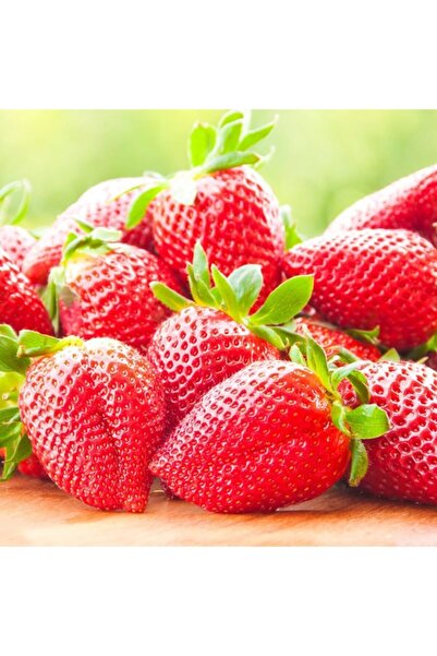 Floramut Yediveren Hızlı Yetişen Çilek Tohumu-200 Tohum