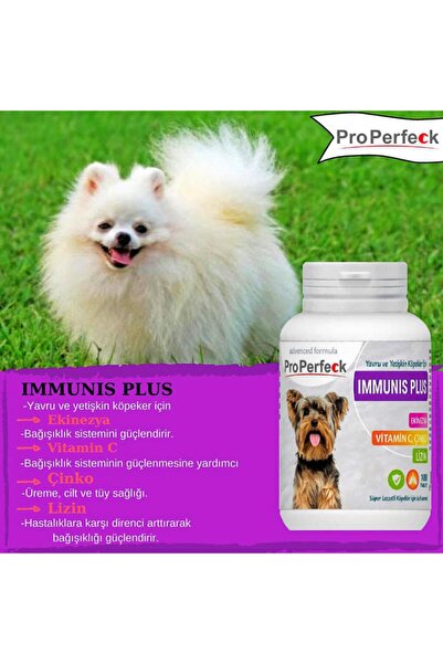 pro perfeck Yavru Ve Yetişkin Köpekler Için Immunıs Plus Ekinezya Vitamin C Ç...