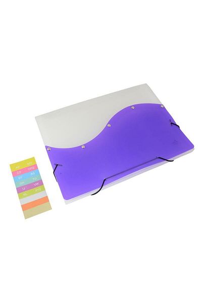 Umix Purple Colored Bellows File - 13 Compartments with Elastic