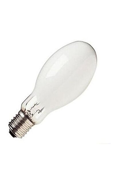 General Electric General Elektrik 250 Watt(balastlı) Civa Buharlı Lamba