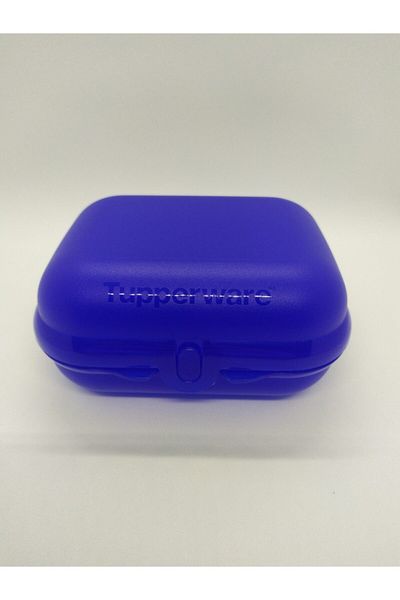 Tupperware Oyster Box