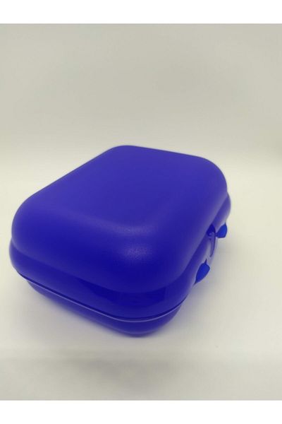 Tupperware Oyster Box