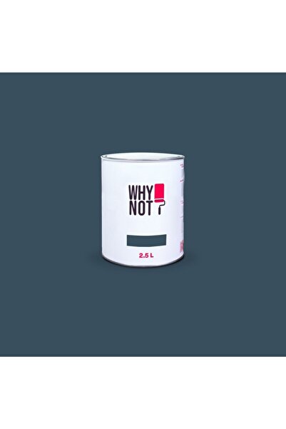 WHY NOT Duvar Boyası Endless 1,5LT