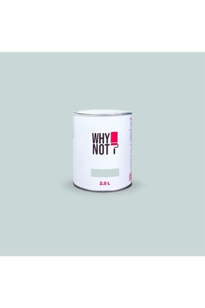 WHY NOT Duvar Boyası Ocean Air 1,5LT