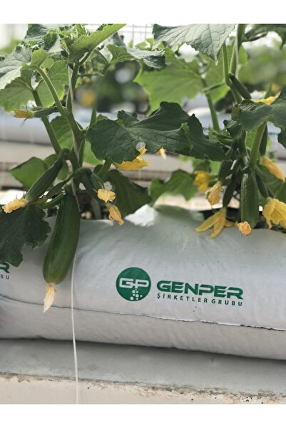 GENPER Tarım Perliti 200 Lt.