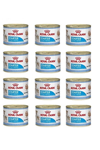 Royal Canin Starter Mousse Anne Ve Yavru Köpek Konservesi 195 Gr. X 12 Adet