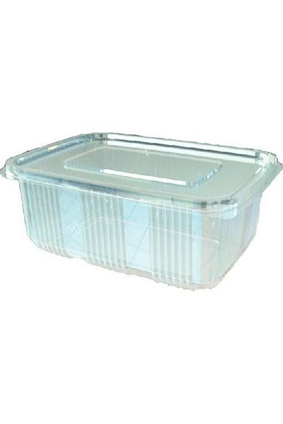 FTM AMBALAJ 50-Piece Dikbaş Plastic Leak Proof Carrying Bowl - 2000 Gr