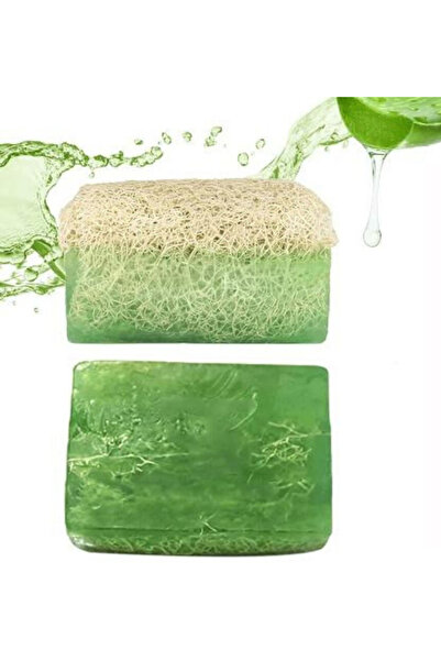 Modares Store صابون الصبار الطبيعي المصنوع يدويًا من ألياف اليقطين