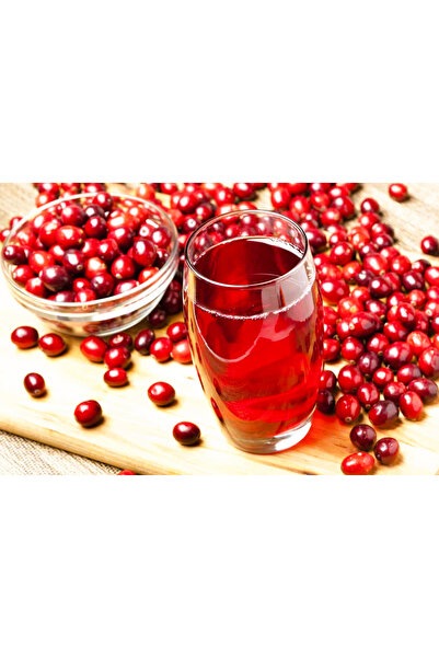 Erzurum İpekgurme Erzurum İpek Gurme Doğal El Yapımı Kızılcık Marmelatı 900 G...