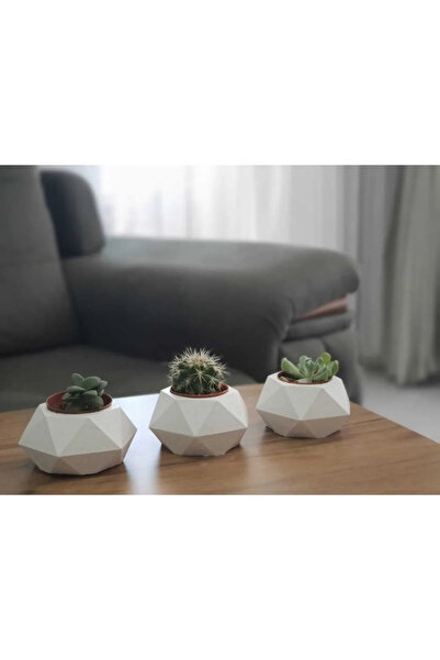 HKM Hobim Üçlü Geometrik Ham Döküm Kaktüs Ve Skulent Saksı 3,lü Set Gift deco...