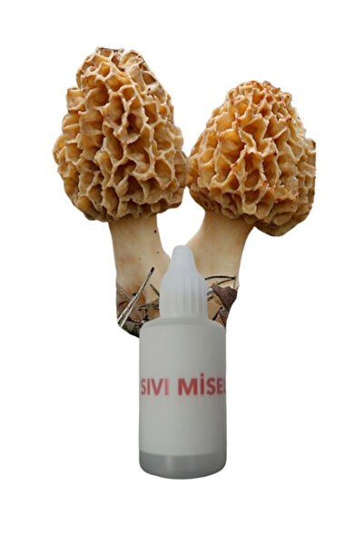 AMAZON TOHUM Kuzu Göbeği Mantarı Sıvı Miseli Mantar Miseli Tohumu 30cc