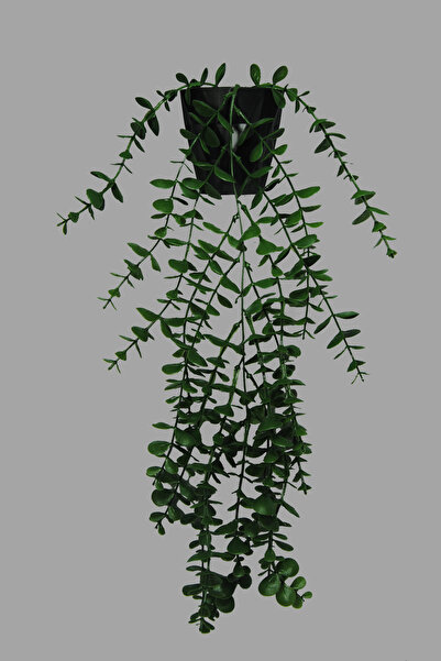 Lilac Home Artificial Flower Single Branch in Black Diamond Pot Green Eucalyptus Pendant Lamp