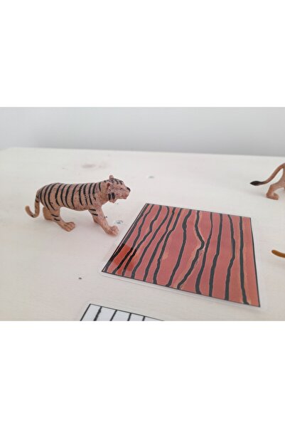 Ada Montessori Hayvanlar ve Derileri Eşleştirme Çalışması