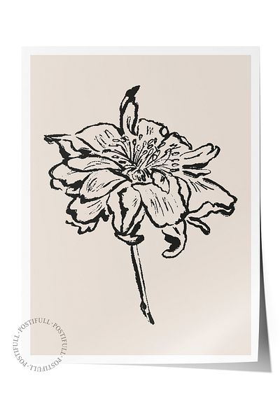 Postifull Απαλή αφίσα Boho Nordic με θέμα Duar - Διακόσμηση σαλονιού, κουζίνας και υπνοδωματίου