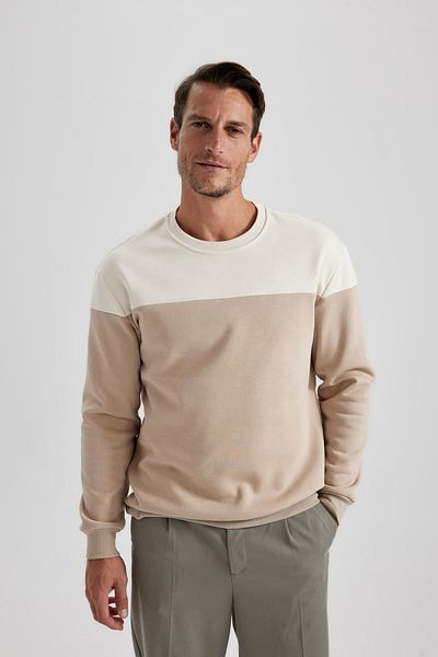 DeFacto Comfort Fit Crew Neck Color Block Sweatshirt A5279ax23au