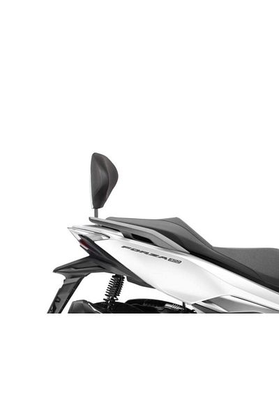 MOTOANL Motorcycle Rear Shad Sissybar For Honda Forza 250-300 (18-20) Sissybar Sissy Bar Motor Rear Recline