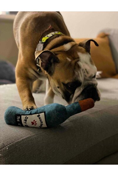 Genel Markalar Bottle Toy, Köpek Oyuncağı, Kedi Oyuncağı, Peluş Oyuncak (Yeşil)