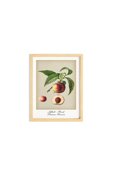 Ayışığı Dizayn Set de pictură de perete unică poster cu rame din lemn de piersici și piersici de bucătărie vintage