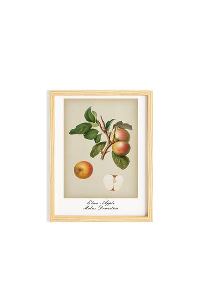 Ayışığı Dizayn Set de pictură de perete unică poster de bucătărie cu rame din lemn de fructe de epocă