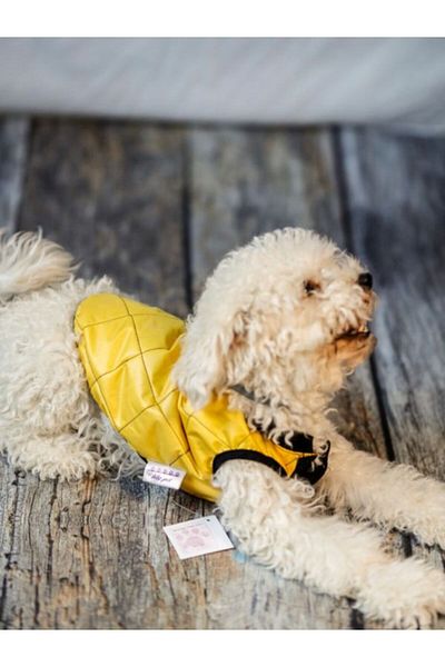 HKEVCİLPET Dog Jacket Raincoat Coat Windproof