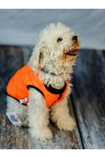 HKEVCİLPET Dog Jacket Raincoat Coat Windproof