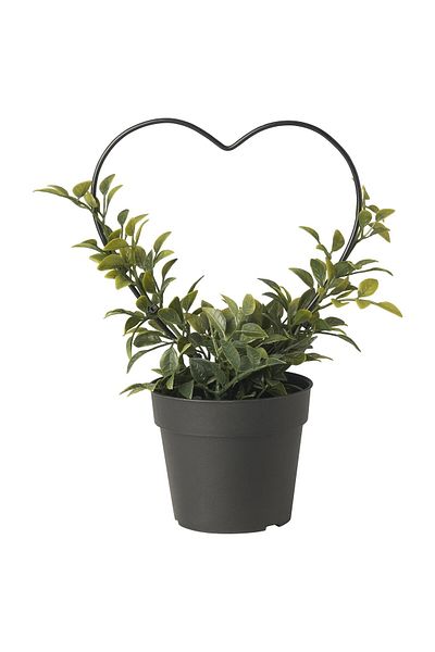 IKEA Τεχνητό φυτό VINTERFINT, πράσινο, 9 cm