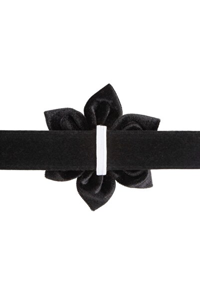 Lusi Doog Çiçekli Kadife Köpek Boyun Tasması, Köpek Gezdirme Kayışı Ve Köpek Kaka Poşeti Çantası Seti (SİYAH)