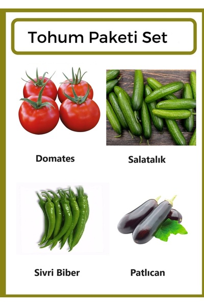 Genel Markalar Yerli Domates-Salatalık-Sivri Biber-Patlıcan Tohumu 1000 Adet