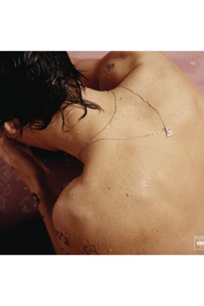 Vinylium Zone Harry Styles – Harry Styles Vinyl, LP, Album, Stereo Plak
