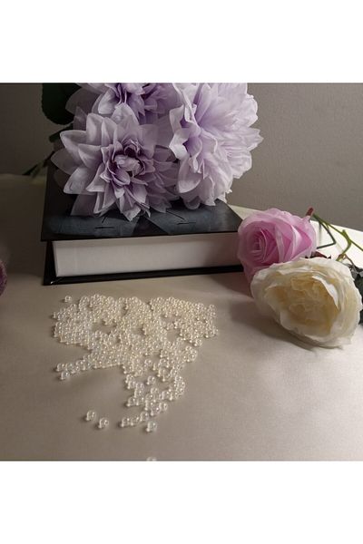 PASAMİA 6 ml Non-perforated Beads Transparent 10 Gr (161 Pieces)